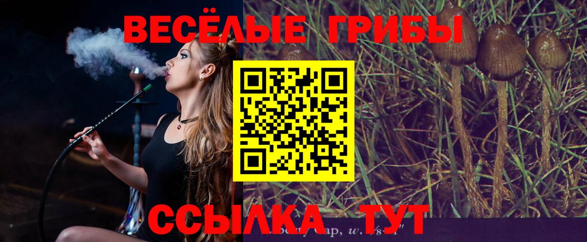 Псилоцибиновые грибы MAGIC MUSHROOMS  Псилоцибиновые грибы прущие грибы  Новоуральск  Вход с VPN 